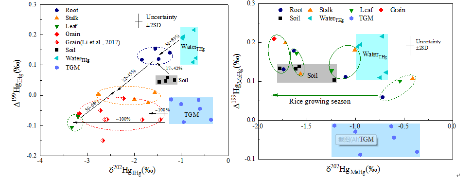 稻田生态系统汞同位素分馏特征研究取得新进展