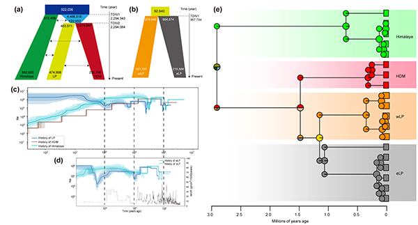 从动植物中汲取的宝贵启示